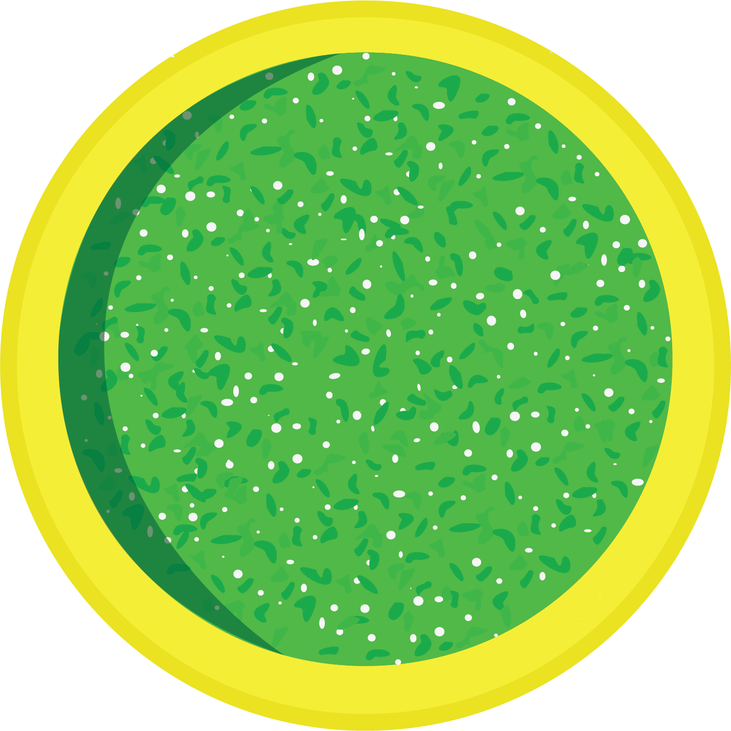 Pesto Sauce