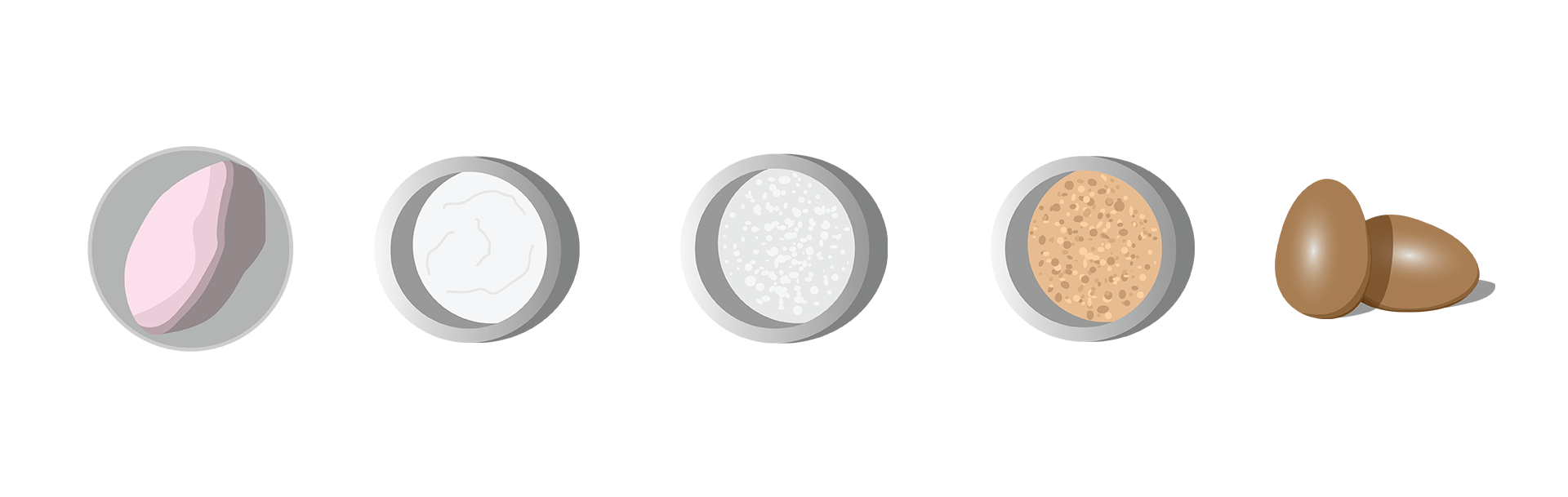 Pizza Recipe